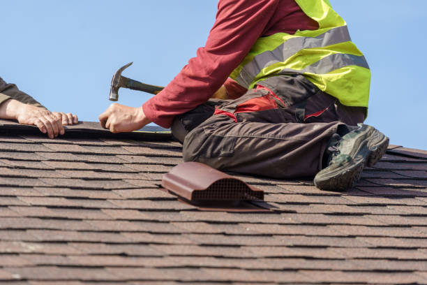 Best Roof Gutter Cleaning  in Rocky Mount, VA