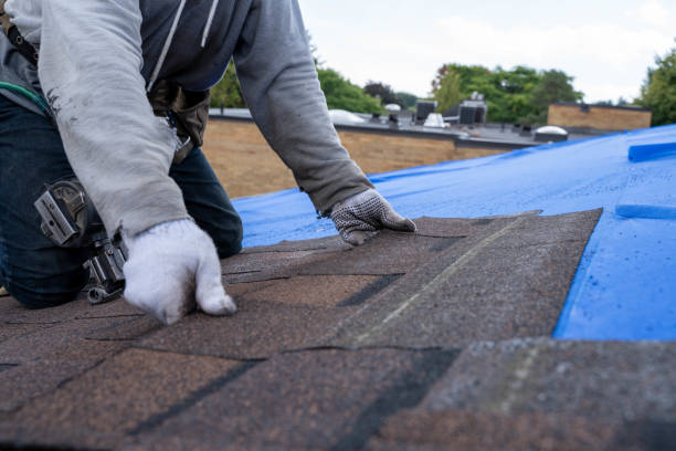 Best Roof Waterproofing Services  in Rocky Mount, VA