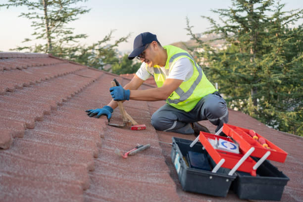 Best Roof Leak Repair  in Rocky Mount, VA