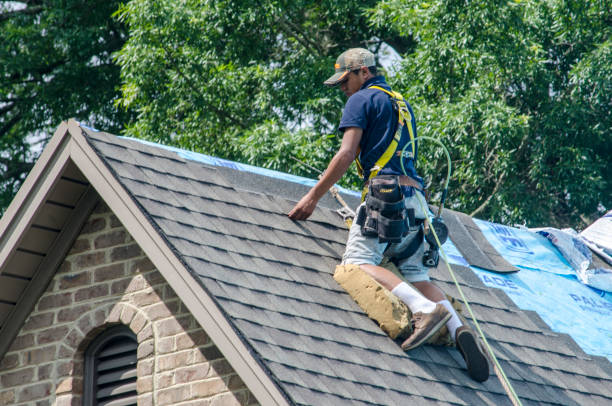 Best Roof Gutter Cleaning  in Rocky Mount, VA